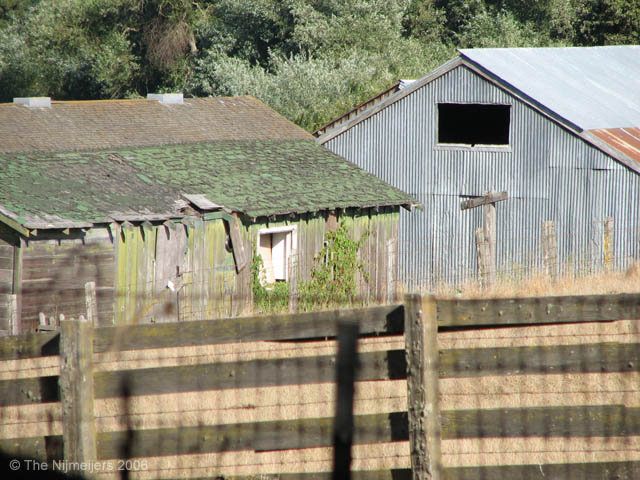 IMG_1008