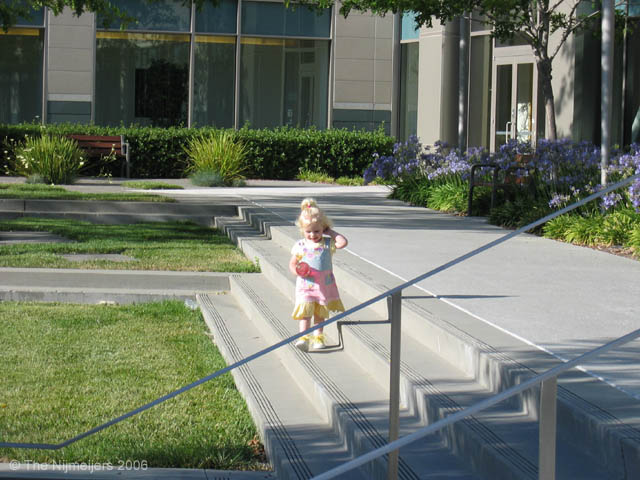 IMG_0541
