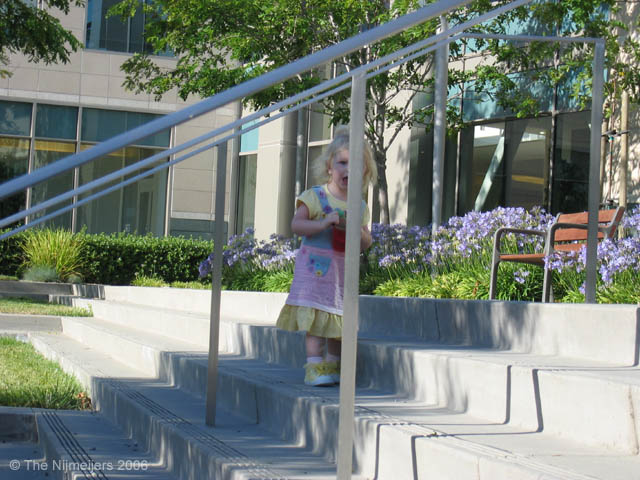 IMG_0542