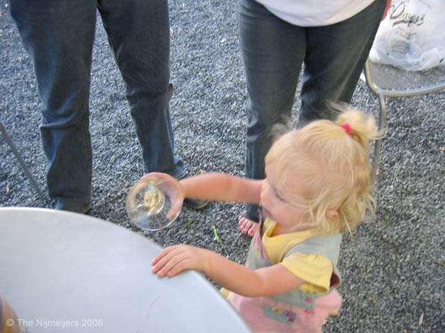 IMG_0556