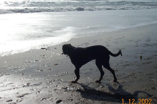 Beach-007