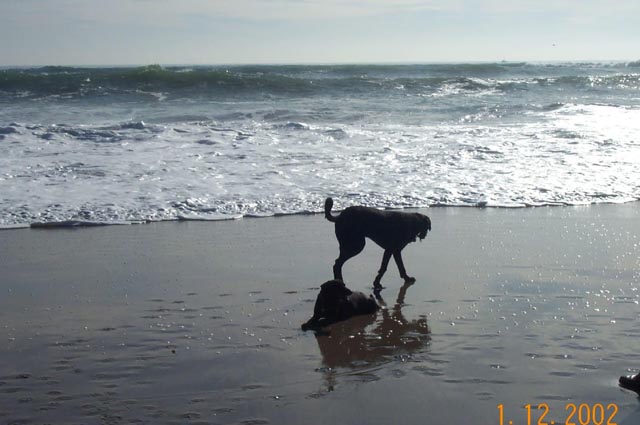 Beach-009