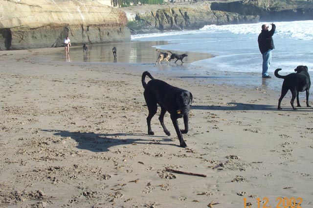 Beach-010