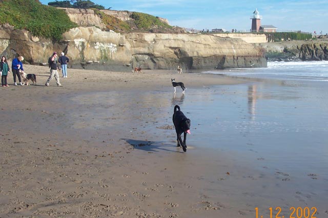 Beach-012