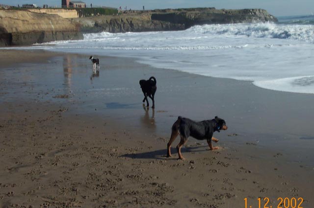 Beach-013