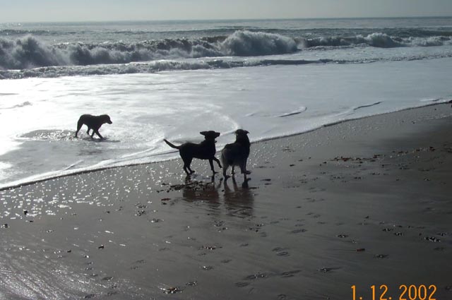 Beach-016