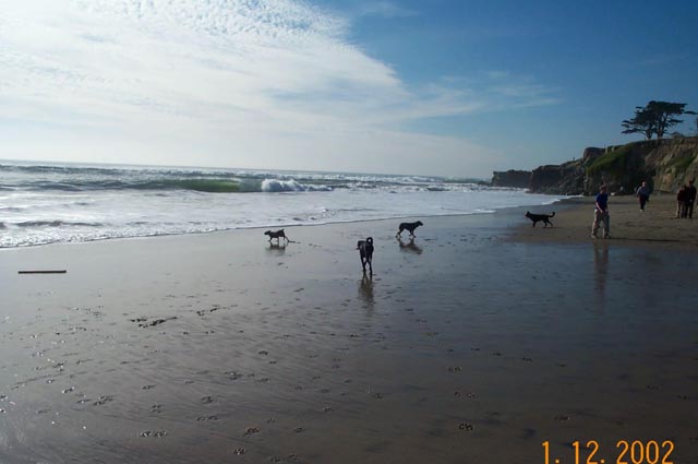 Beach-019