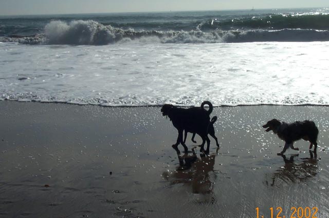 Beach-020