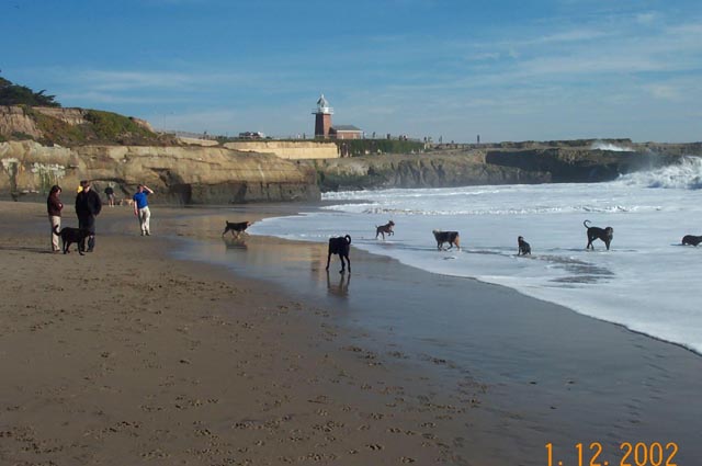 Beach-021