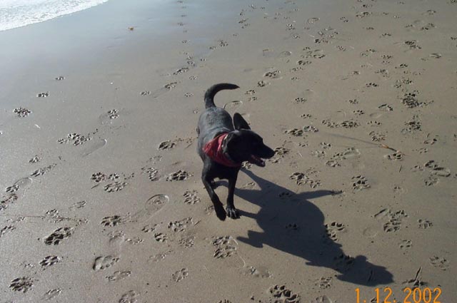 Beach-022