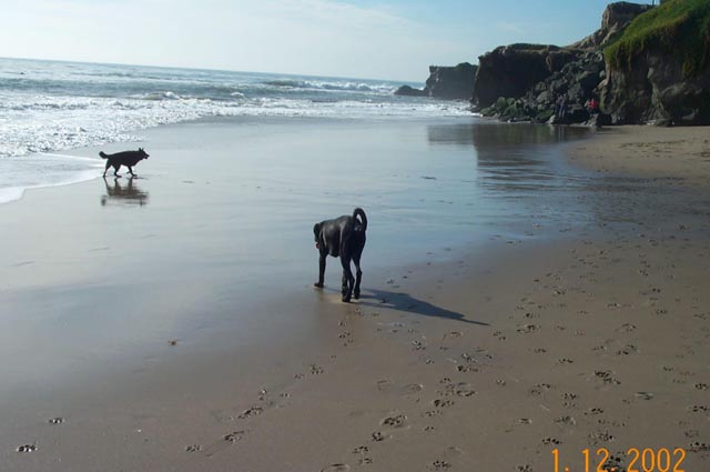 Beach-023