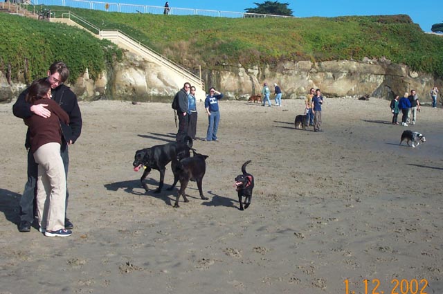 Beach-024