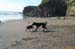 Beach-008