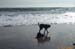 Beach-009