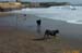 Beach-013
