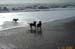 Beach-016