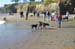Beach-018