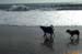 Beach-020