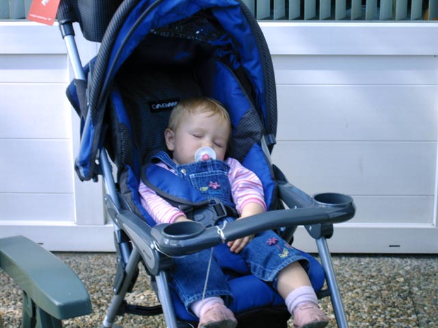 Vastgelegd 2004-5-16 00048